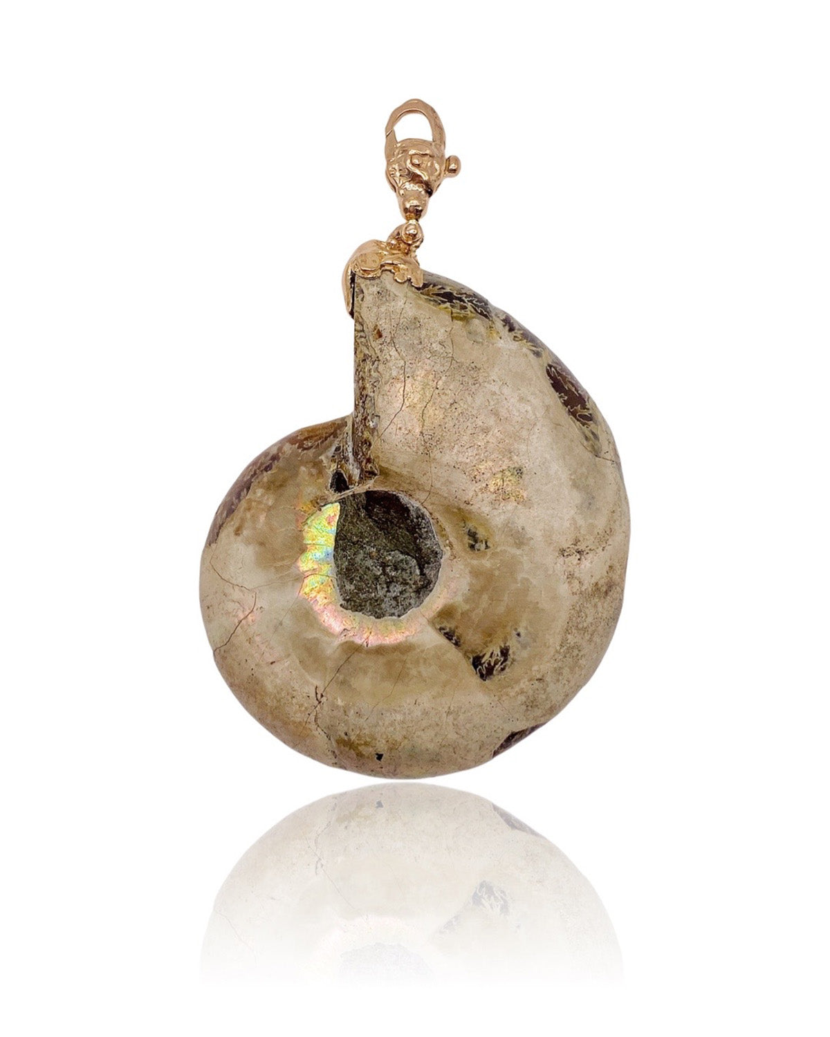 Turquoise Ammonite Pendant 18kt Rose Gold