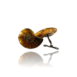 Silver and fossil ammonite cufflinks