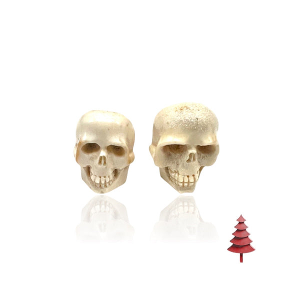 Silver cufflinks with bone skulls