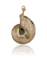 Turquoise Ammonite Pendant  18 k Rose Gold