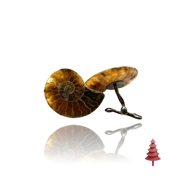 Silver and fossil ammonite cufflinks