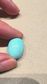 Sleeping  beauty turquoise