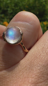 18kt Rose Gold Microbo  Ring with Blue Moonstone